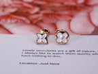 [Marin]STAR AND SUN PINK GOLD MOP STUD EARRINGS